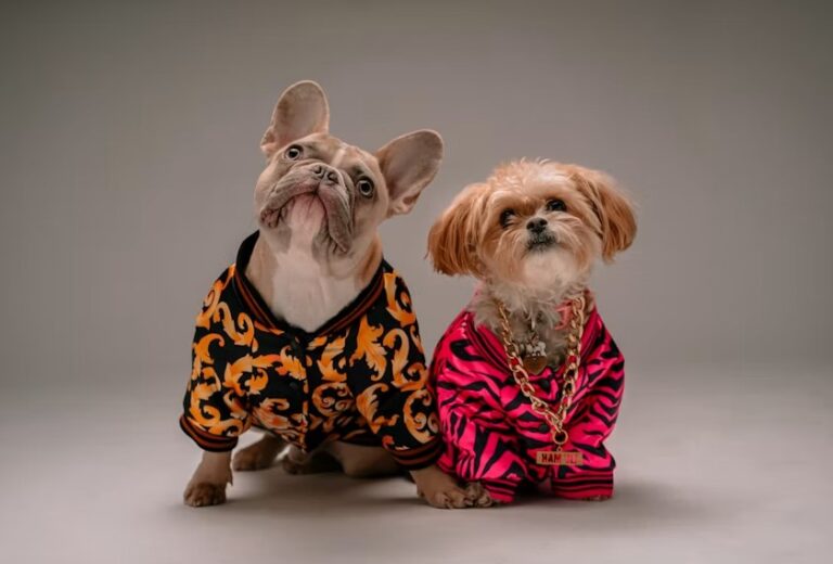 Pet’s Unique Style