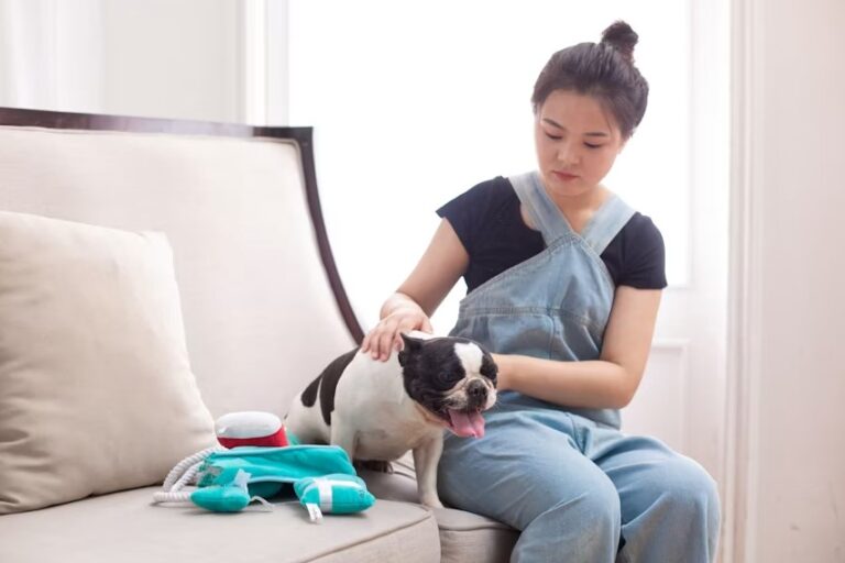 veterinary care for your pet