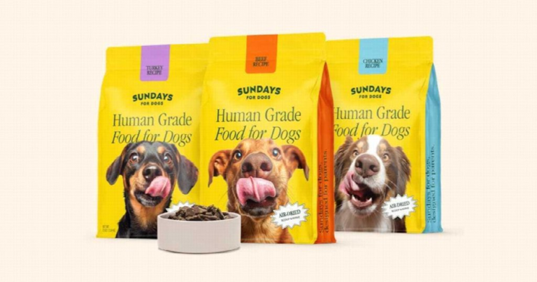 Dog Food Delivery Services
